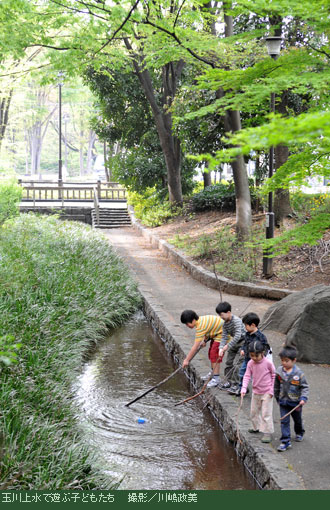 �ʐ�㐅�ŗV�Ԏq�ǂ�����