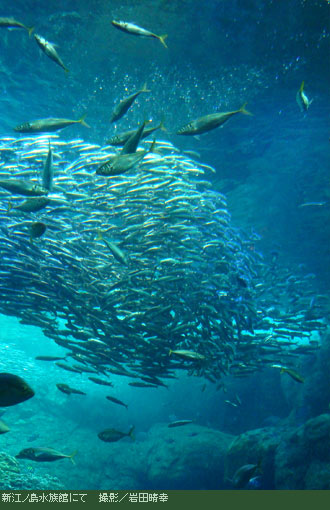 �V�]�m��������